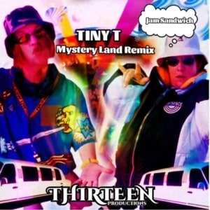 Mystery Land TinyT Remix Release 15/05/2024